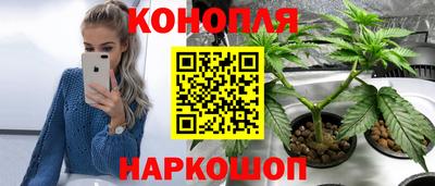 гидра Абакан