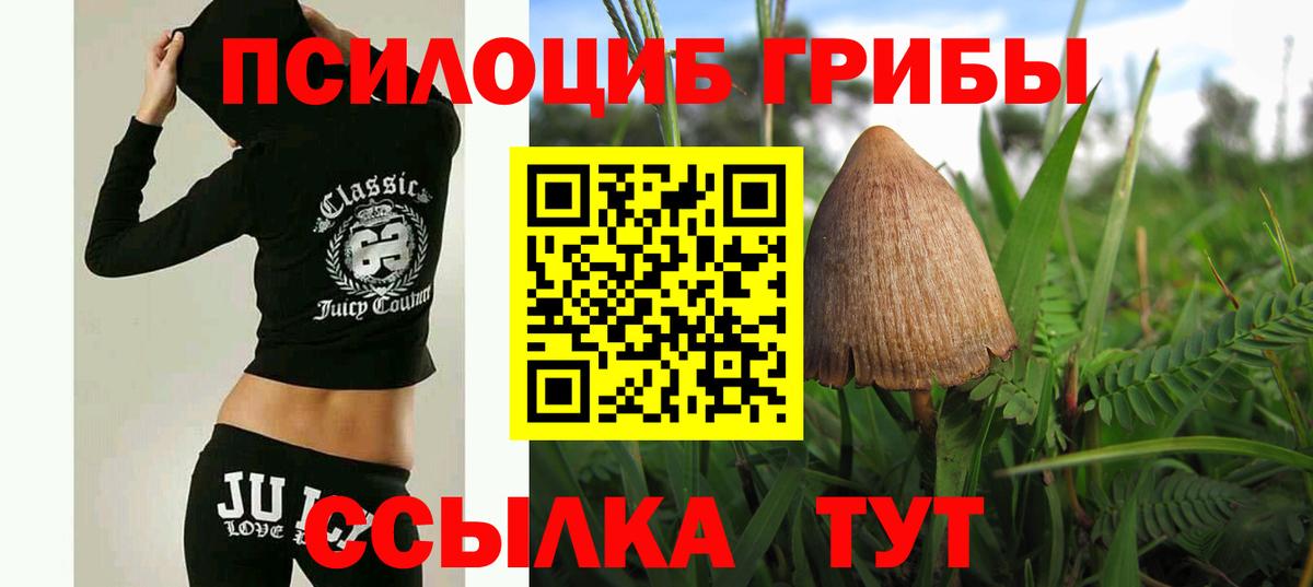 Псилоцибиновые грибы Magic Shrooms Апатиты