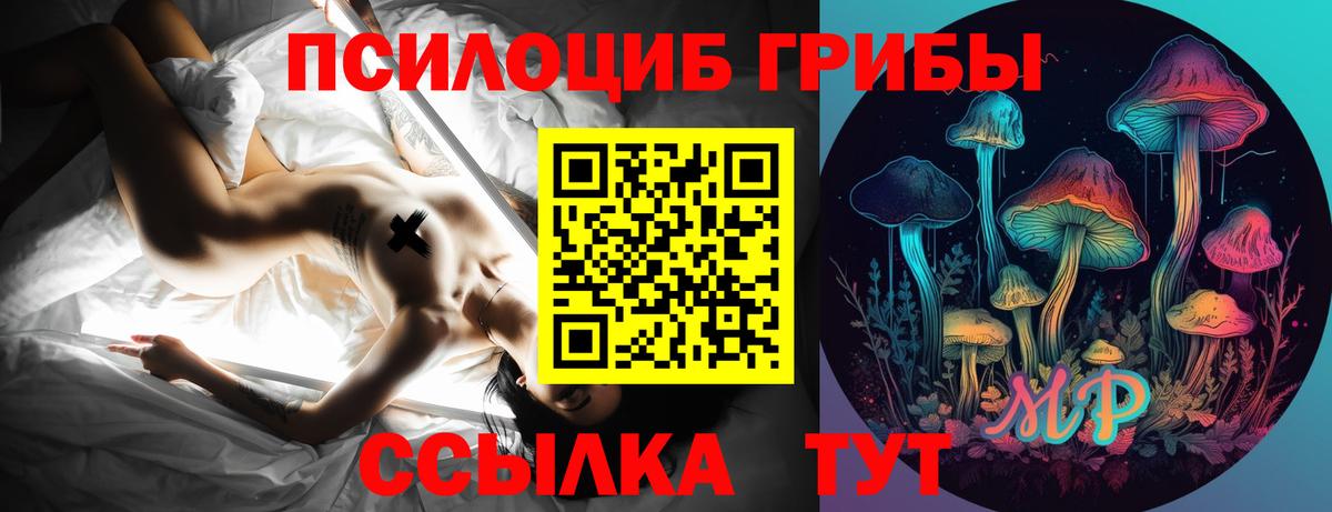 Апатиты  Псилоцибиновые грибы Psilocybine cubensis  Вход с VPN  Псилоцибиновые грибы Psilocybine cubensis 